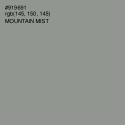 #919691 - Mountain Mist Color Image
